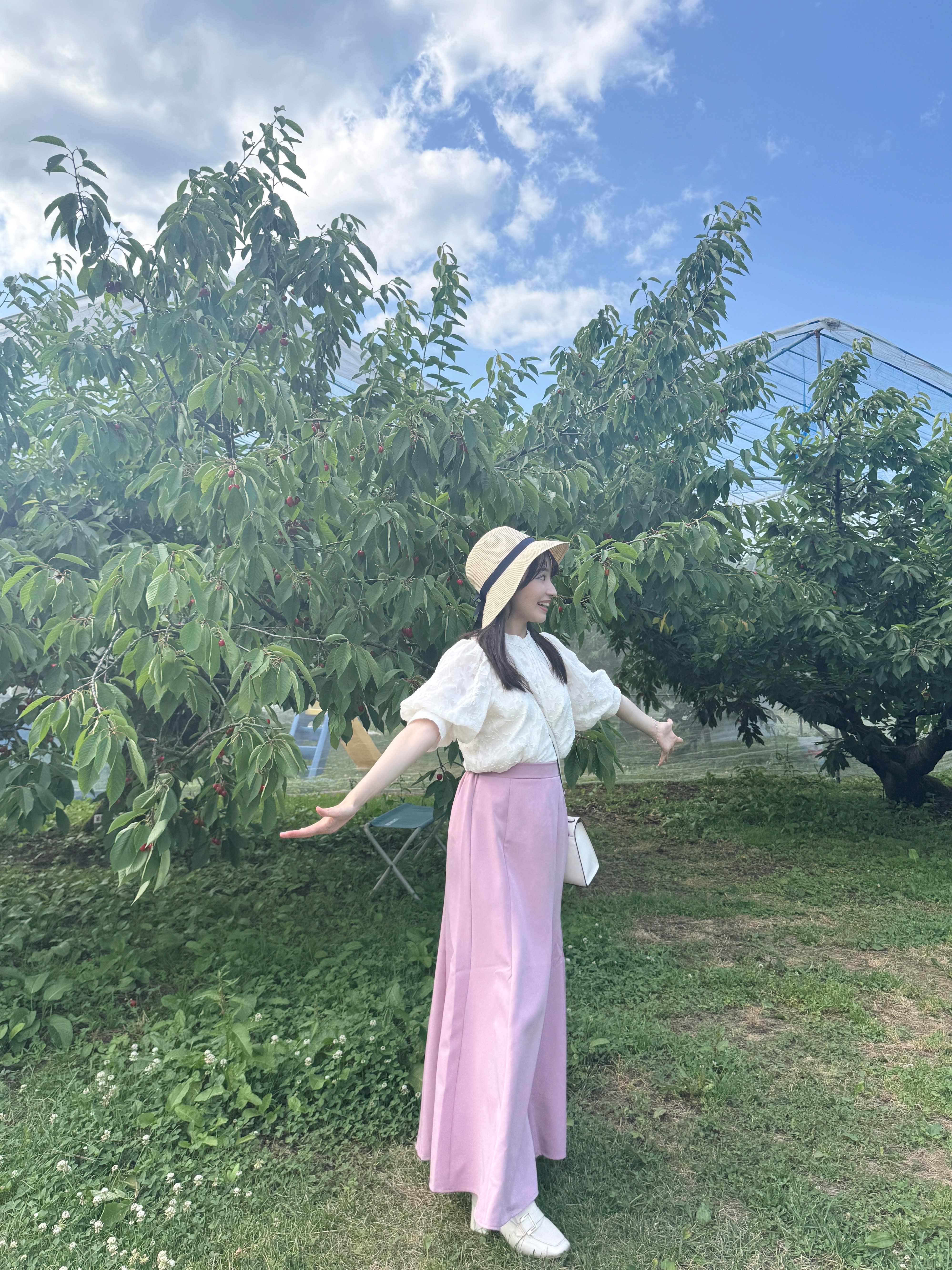 さくらんぼ