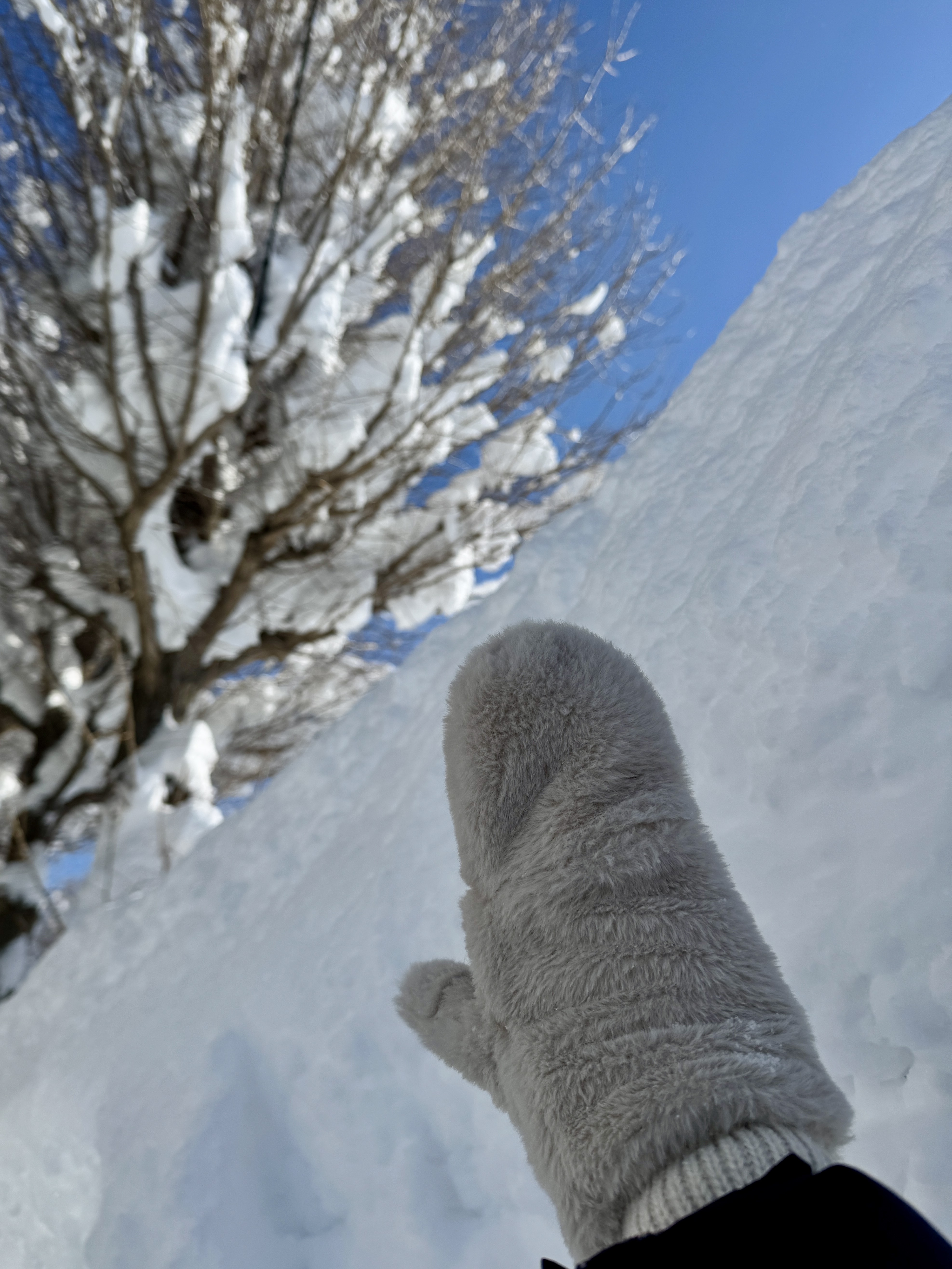 大雪
