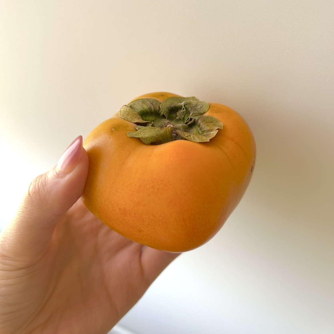 柿