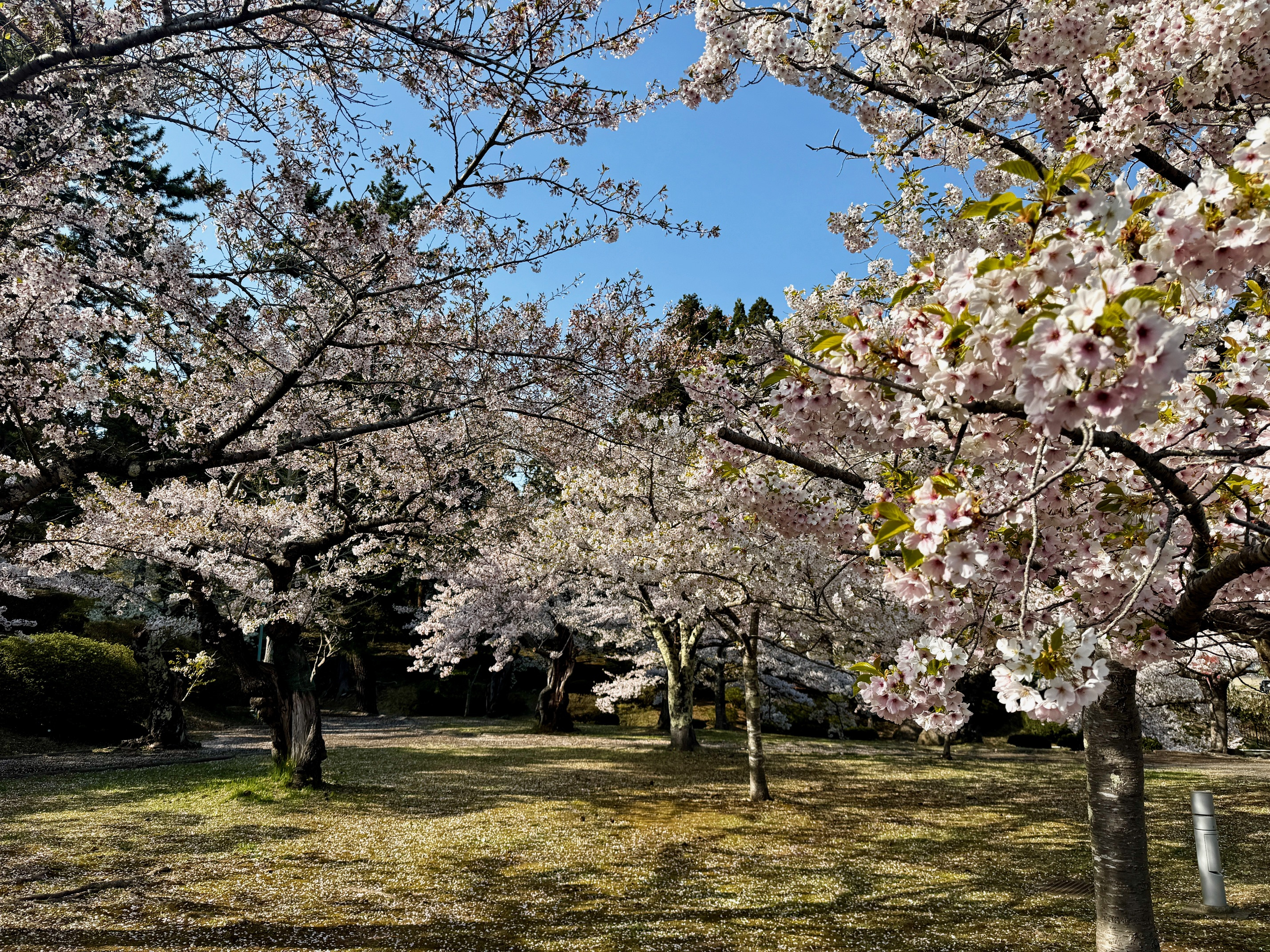 水源地公園
