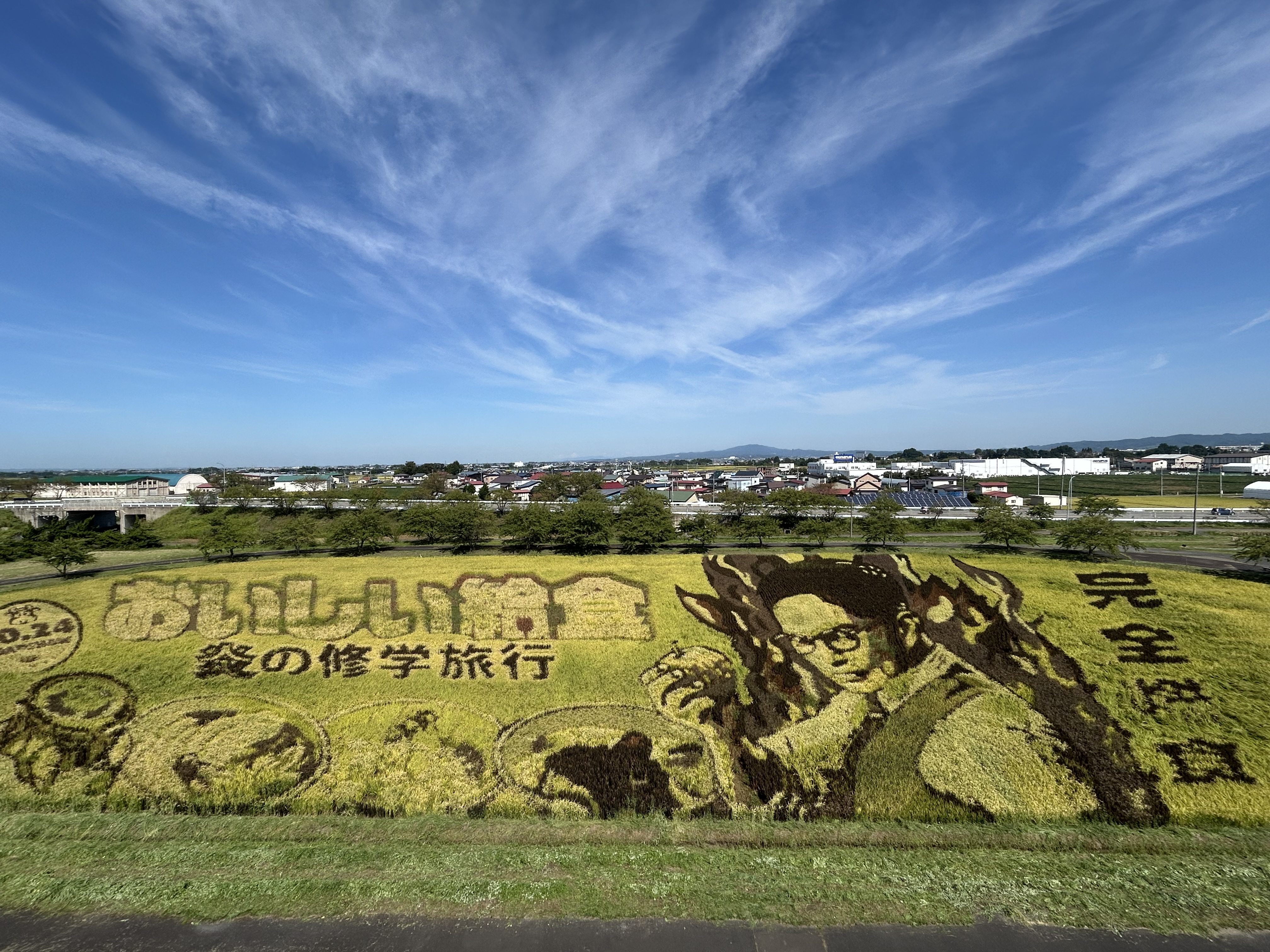 田んぼアート