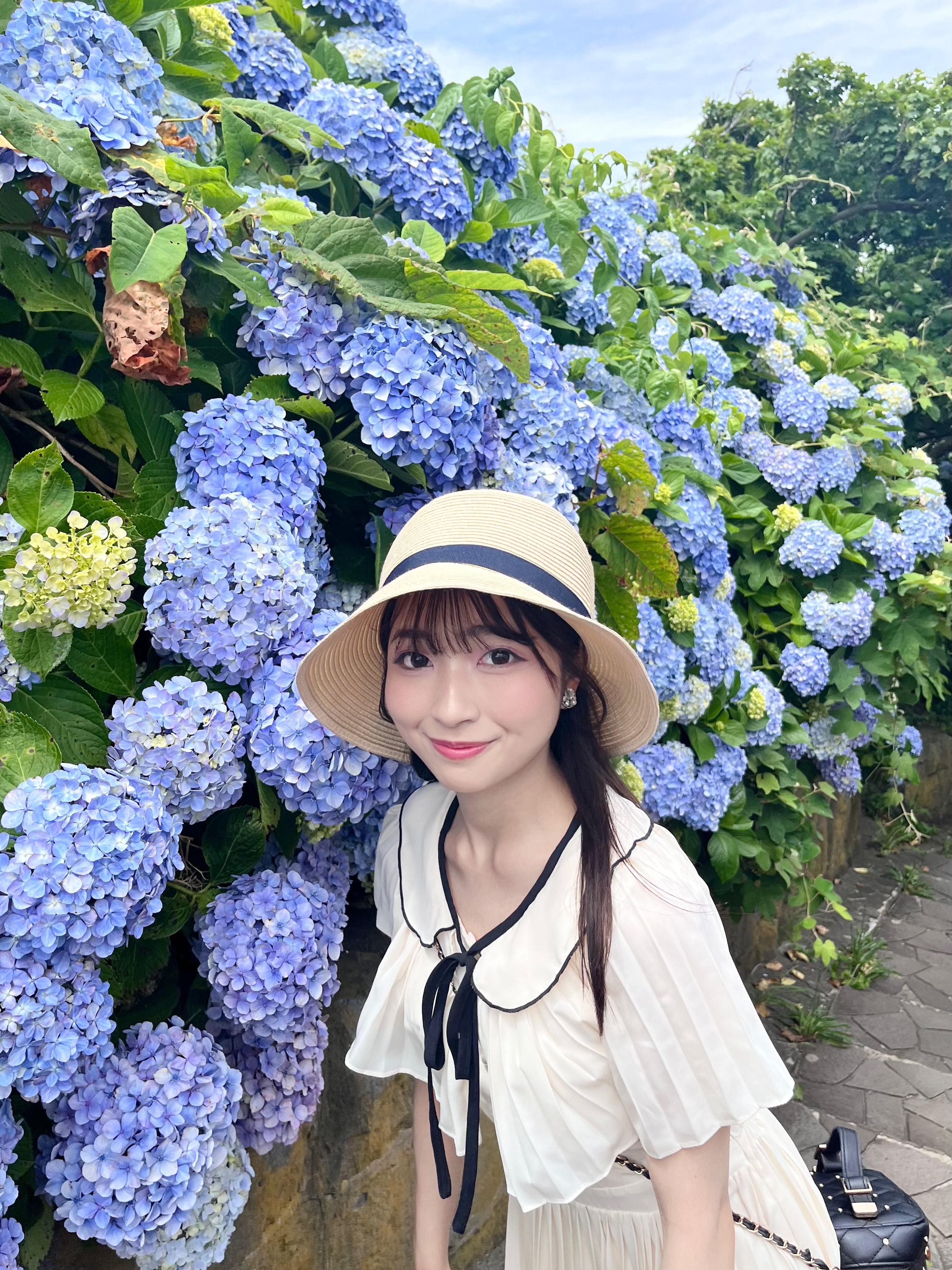 紫陽花