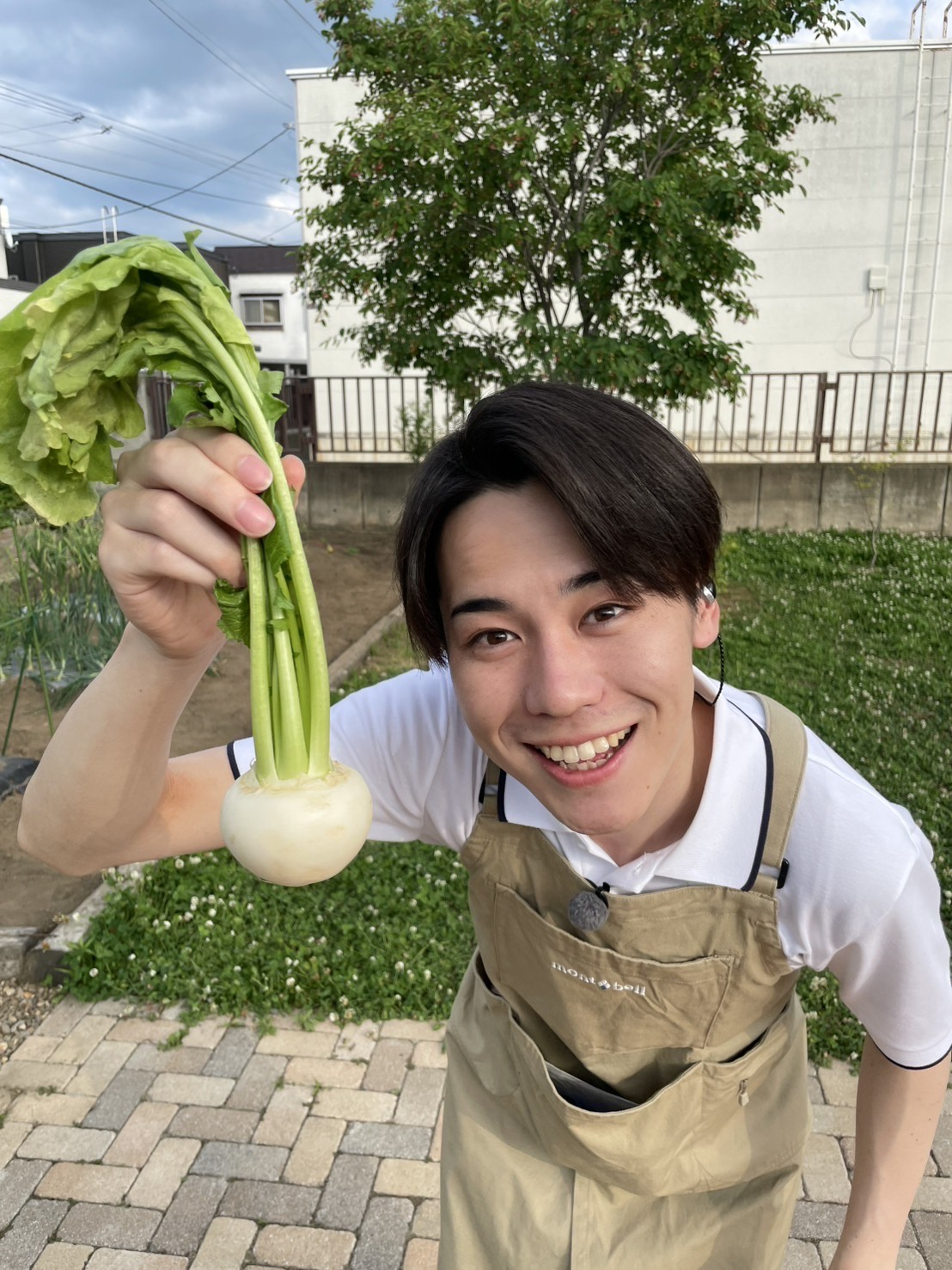 葉つき小かぶ